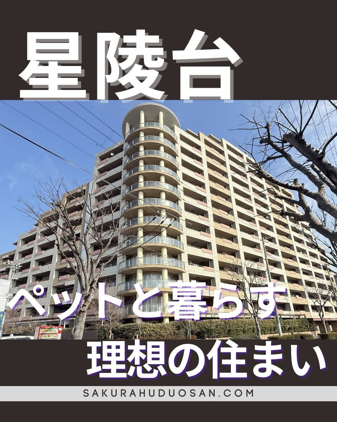 こんにちは