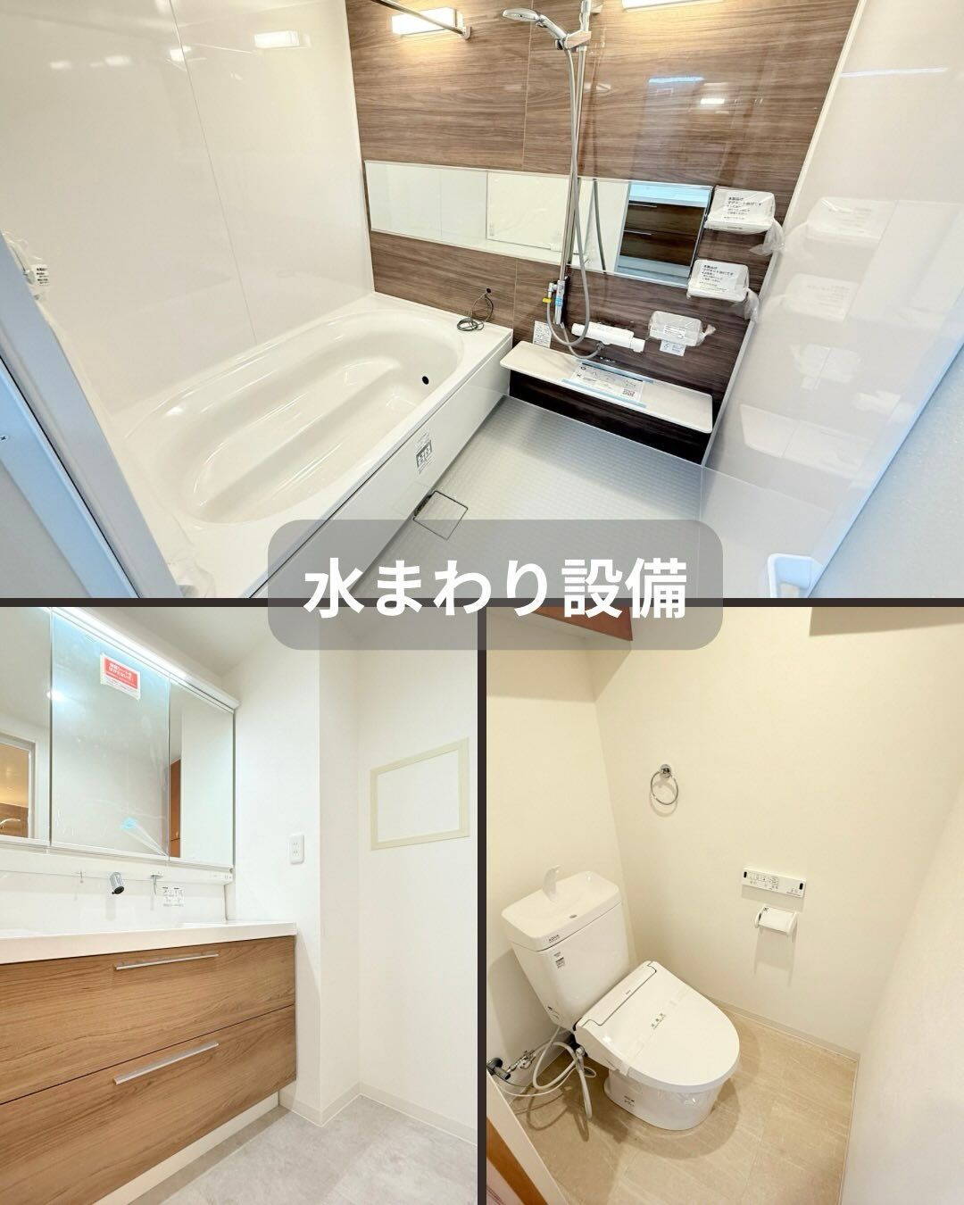 こんにちは